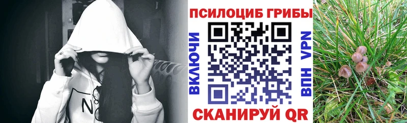 Галлюциногенные грибы MAGIC MUSHROOMS  Чайковский 